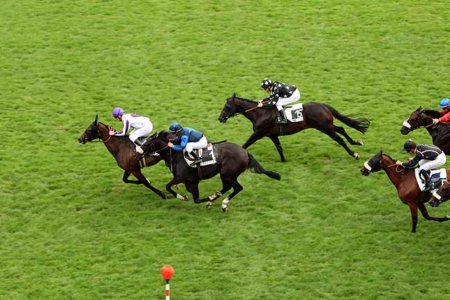 Arrivée quinté pmu PRIX DE PENTHIEVRE à MAISONS-LAFFITTE