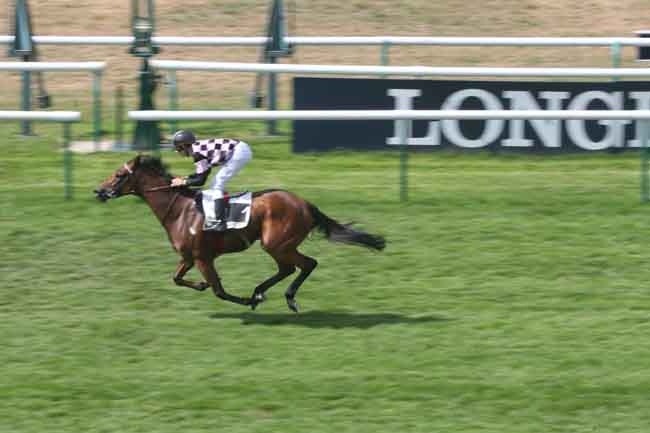 Arrivée quinté pmu PRIX DU GROS HETRE à CHANTILLY