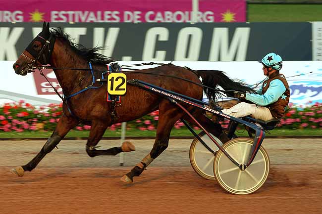 Arrivée quinté pmu PRIX DES MUSCARIS à CABOURG