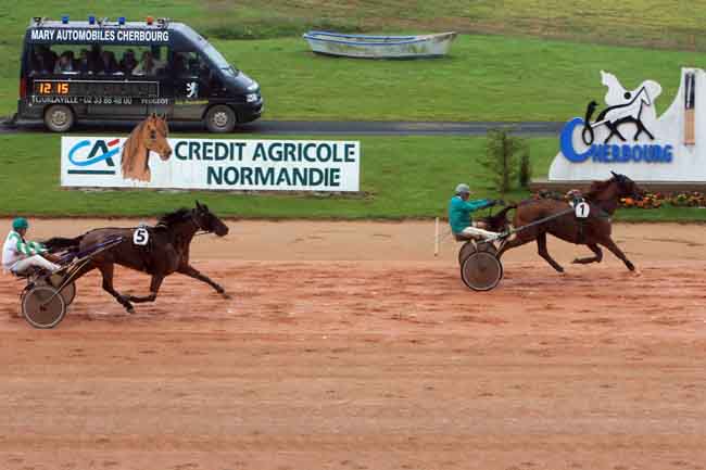 Arrivée quinté pmu PRIX AUCHAN LA GLACERIE à CHERBOURG