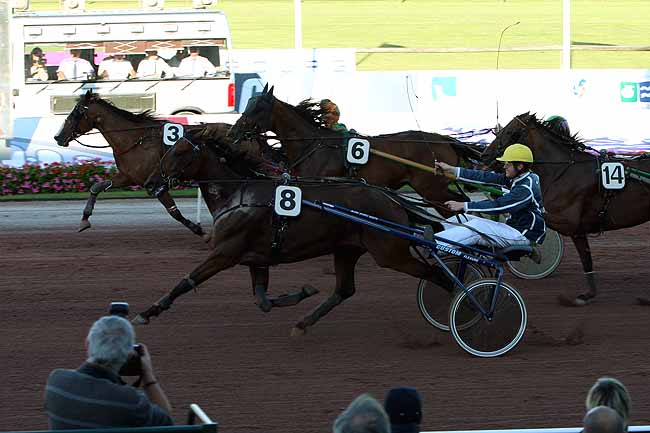 Arrivée quinté pmu PRIX DES CAMELIAS à CABOURG