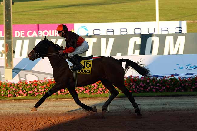 Arrivée quinté pmu PRIX DU GRAND HOTEL DE CABOURG(PRIX PETUNIAS) à CABOURG