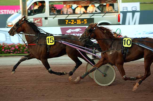Arrivée quinté pmu PRIX DU GRAND CASINO DE CABOURG (PRIX SERINGAS) à CABOURG