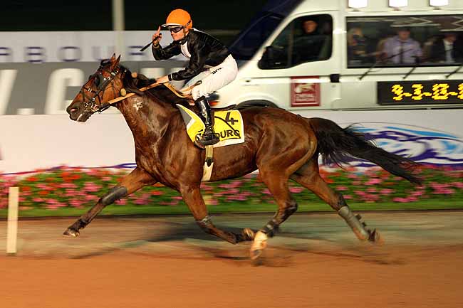Arrivée quinté pmu PRIX FANDANGO à CABOURG
