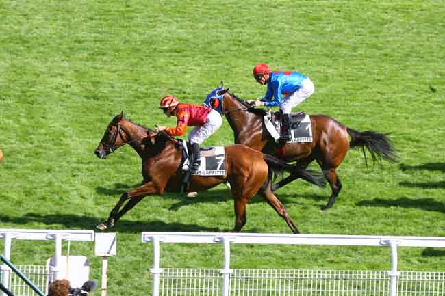 Arrivée quinté pmu PRIX DU HARAS DU ROBILLARD à MAISONS-LAFFITTE