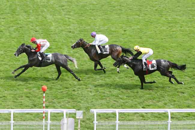 Arrivée quinté pmu PRIX DE MAYSEL à MAISONS-LAFFITTE