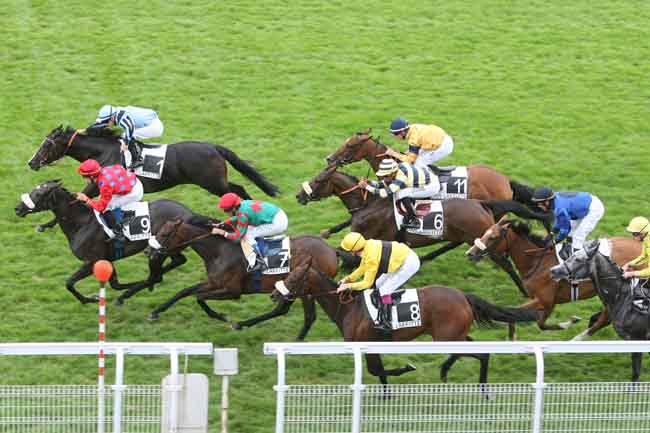 Arrivée quinté pmu PRIX DE LA FORET DU LYS à MAISONS-LAFFITTE
