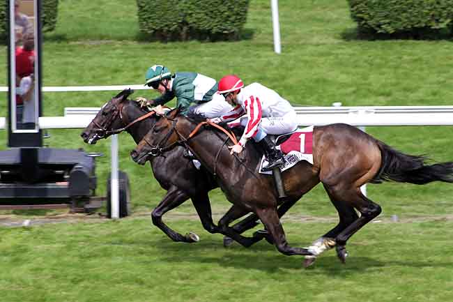Arrivée quinté pmu PRIX ASTD FOOTBALL (PRIX DES PRIMEVERES) à CLAIREFONTAINE
