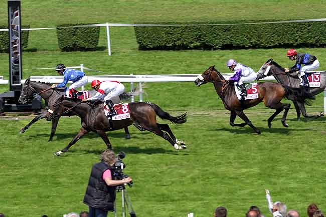 Arrivée quinté pmu PRIX AGD TENNIS DE TABLE (PRIX ROSELIERE) à CLAIREFONTAINE