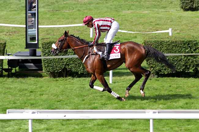 Arrivée quinté pmu PRIX JOURNEE DU SPORT (PRIX DE LA GARENNE) à CLAIREFONTAINE