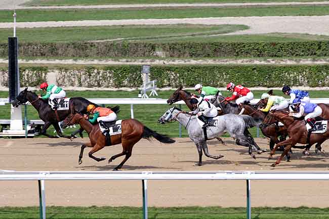 Arrivée quinté pmu PRIX DU PLATEAU PICARD à DEAUVILLE