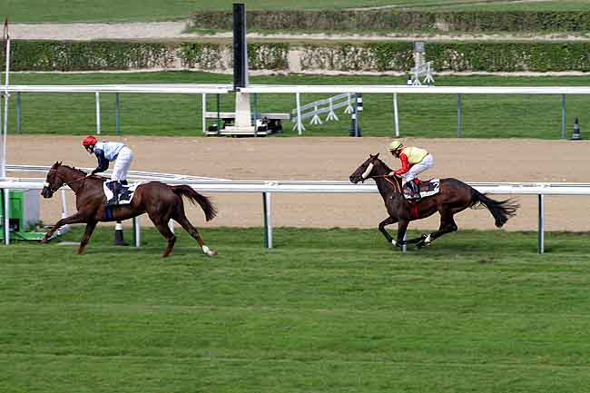 Arrivée quinté pmu PRIX EQUIDIA - 148EME PRIX DES LIONS à DEAUVILLE