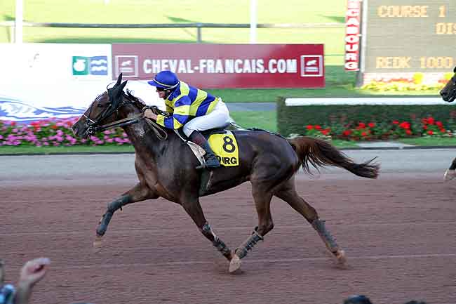 Arrivée quinté pmu PRIX DES RHODODENDRONS à CABOURG