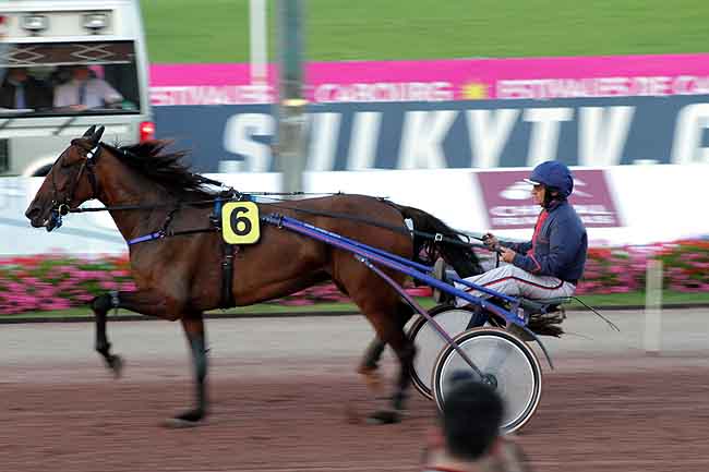 Arrivée quinté pmu PRIX DU CONSEIL REGIONAL à CABOURG