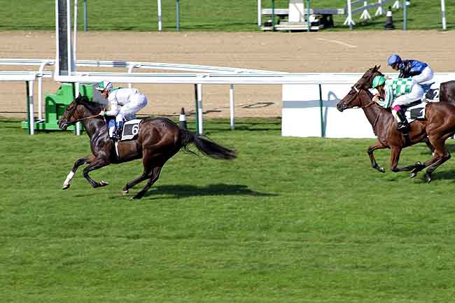 Arrivée quinté pmu PRIX SIX PERFECTIONS à DEAUVILLE