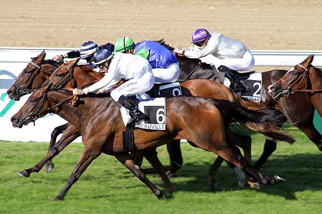 Arrivée quinté pmu PRIX DE PSYCHE à DEAUVILLE
