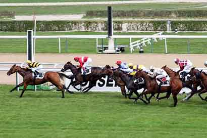 Arrivée quinté pmu PRIX DE TOURGEVILLE à DEAUVILLE
