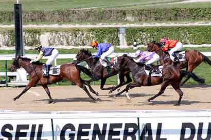 Arrivée quinté pmu PRIX DU CONSEIL GENERAL DES YVELINES (PRIX DU CLOS FLEURI) à DEAUVILLE
