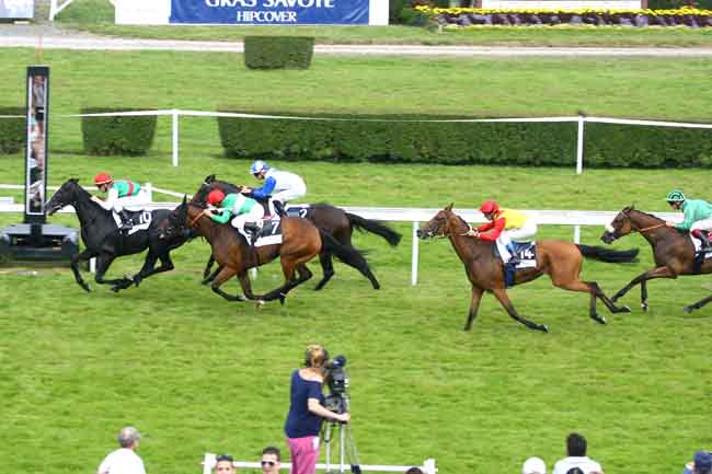 Arrivée quinté pmu GRAND HANDICAP DE CLAIREFONTAINE - DREAM WELL à CLAIREFONTAINE