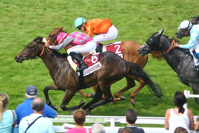 Arrivée quinté pmu PRIX ROSE MORNY (PRIX DES JONQUILLES) à CLAIREFONTAINE