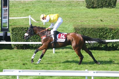 Arrivée quinté pmu PRIX AFASEC (PRIX DES GLYCINES) à CLAIREFONTAINE