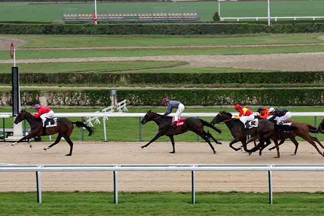 Arrivée quinté pmu PRIX D'ALENCON à DEAUVILLE