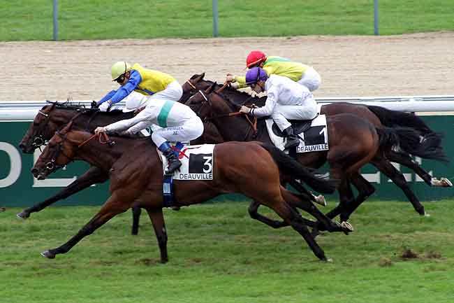 Arrivée quinté pmu PRIX DE TROARN à DEAUVILLE