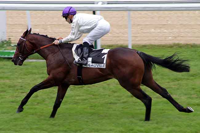 Arrivée quinté pmu PRIX DES ROCHES NOIRES à DEAUVILLE
