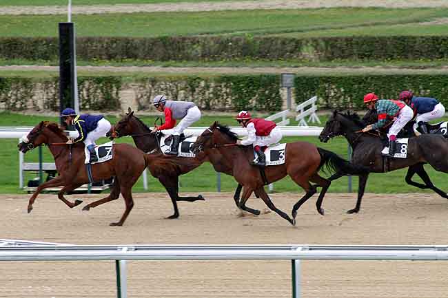 Arrivée quinté pmu PRIX DU LOGIS SAINT-GERMAIN à DEAUVILLE