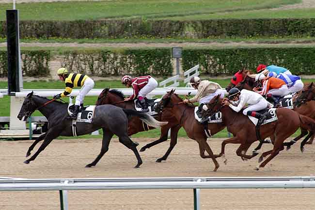 Arrivée quinté pmu PRIX DE LA JETEE à DEAUVILLE