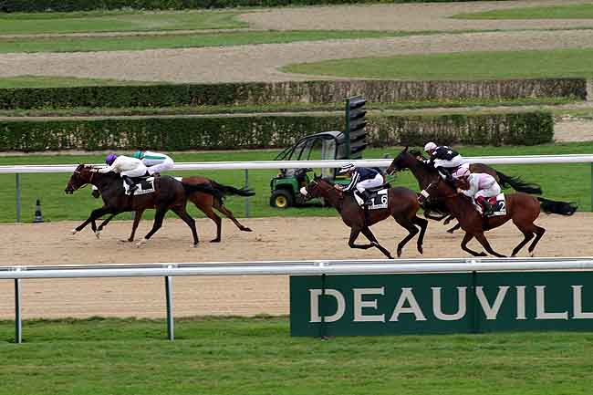 Arrivée quinté pmu PRIX DE LA PEGASERIE à DEAUVILLE