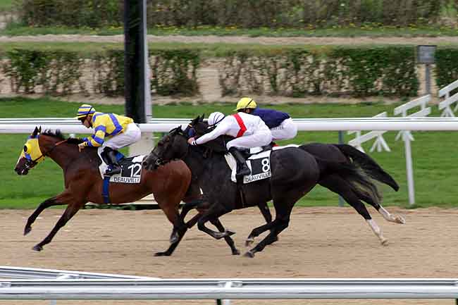 Arrivée quinté pmu PRIX DE CERISY LA FORET à DEAUVILLE