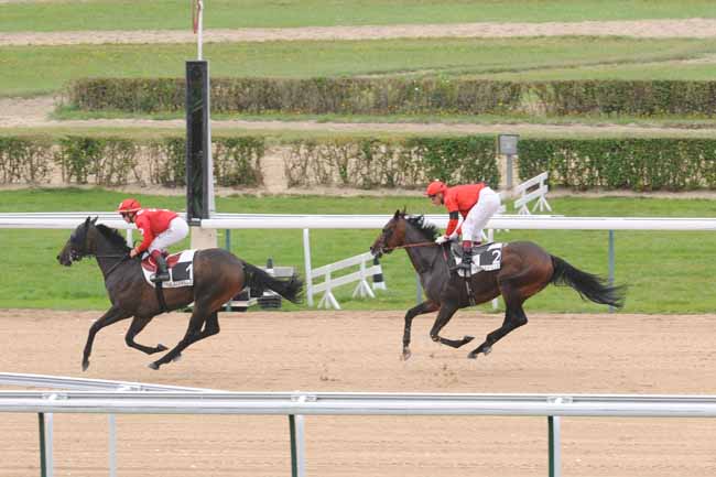 Arrivée quinté pmu PRIX D'HOULLEY à DEAUVILLE