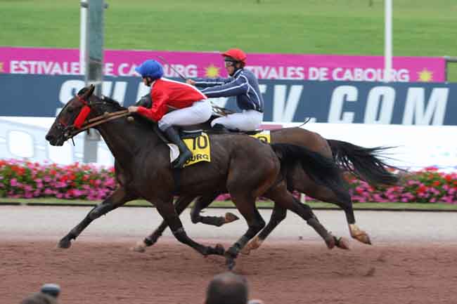 Arrivée quinté pmu PRIX DES HELIANTHES à CABOURG