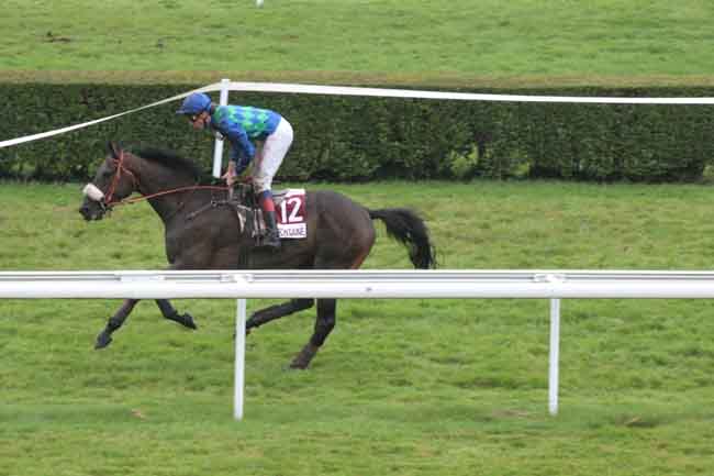 Arrivée quinté pmu PRIX DE LA 14E COURSE D'ANES DE TROUVILLE S/MER (PX DU VIEUX POIRIER) à CLAIREFONTAINE