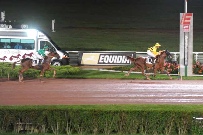 Arrivée quinté pmu PRIX DE LA PLACE DENFERT-ROCHEREAU à ENGHIEN