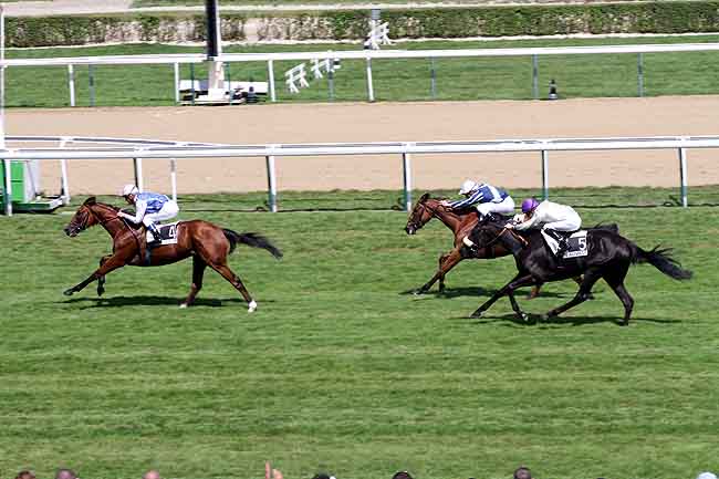 Arrivée quinté pmu PRIX LAVANDIN (PRIX DES CHAUMIERES) à DEAUVILLE