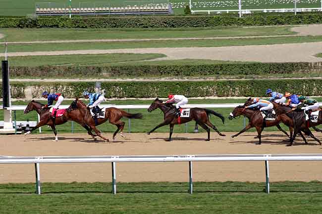 Arrivée quinté pmu PRIX FALCO (PRIX DE PONT L'EVEQUE) à DEAUVILLE