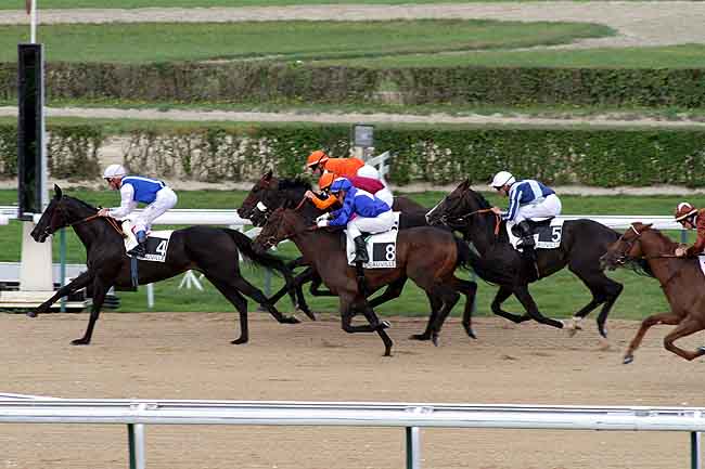 Arrivée quinté pmu PRIX REINE DE SABA (PRIX DU CANAL DU HAVRE) à DEAUVILLE