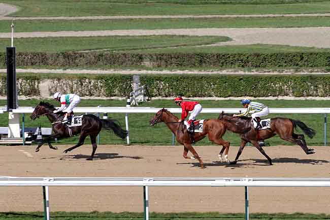 Arrivée quinté pmu PRIX IVANJICA (PRIX DE BOLBEC) à DEAUVILLE