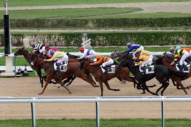Arrivée quinté pmu PRIX EGYPTBAND (PRIX DE LIVAROT) à DEAUVILLE