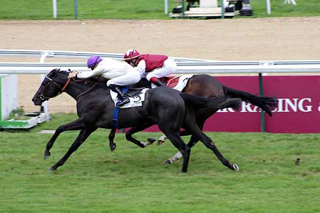 Arrivée quinté pmu PRIX BEACHCOMBER HOTELS 