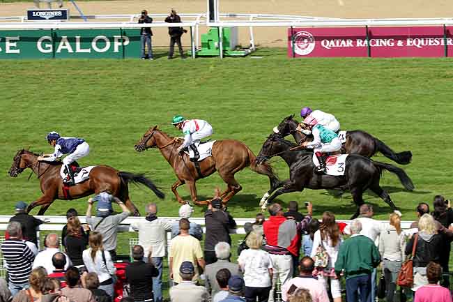 Arrivée quinté pmu PRIX BEACHCOMBER HOTELS 