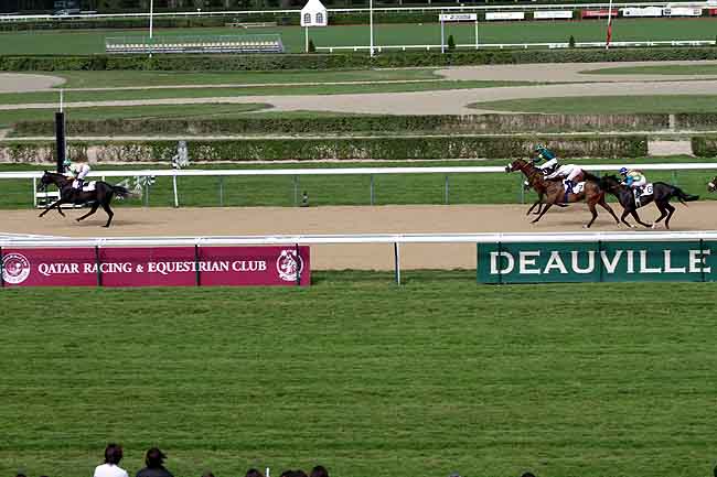 Arrivée quinté pmu PRIX BEACHCOMBER HOTELS 