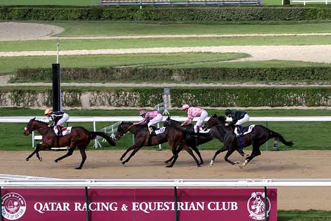Arrivée quinté pmu PRIX MTPA - OFFICE DE TOURISME DE L'ILE MAURICE (PRIX D'UTAH BEACH) à DEAUVILLE
