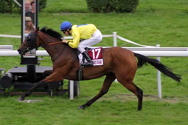 Arrivée quinté pmu PRIX DE LA TRIPIERE D'OR (PRIX DES CHEVREFEUILLES) à CLAIREFONTAINE