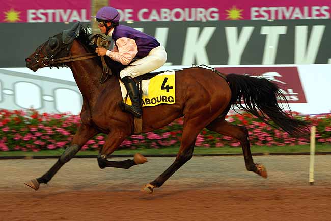Arrivée quinté pmu PRIX DES VERVEINES à CABOURG