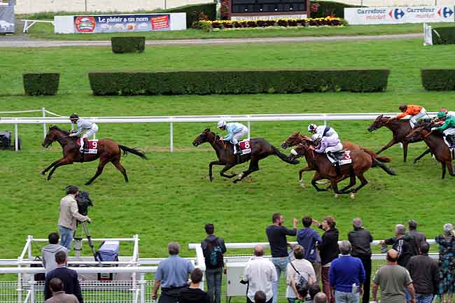 Arrivée quinté pmu PRIX HORSE LAND (PRIX DES COSMOS) à CLAIREFONTAINE