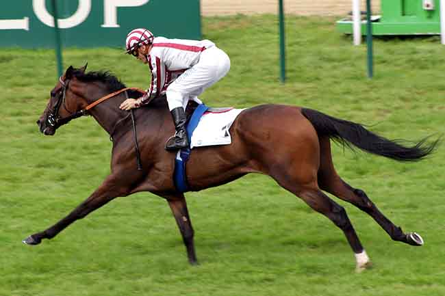 Arrivée quinté pmu PRIX GONTAUT-BIRON - HONG KONG JOCKEY CLUB à DEAUVILLE