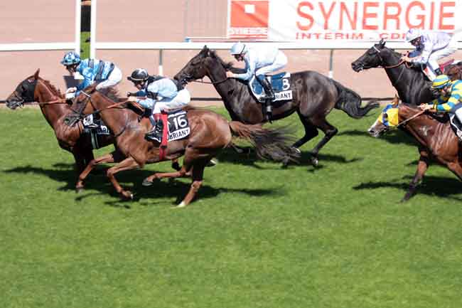 Arrivée quinté pmu PRIX SYNERGIE (GRAND PRIX DE CHATEAUBRIANT) à CHATEAUBRIANT
